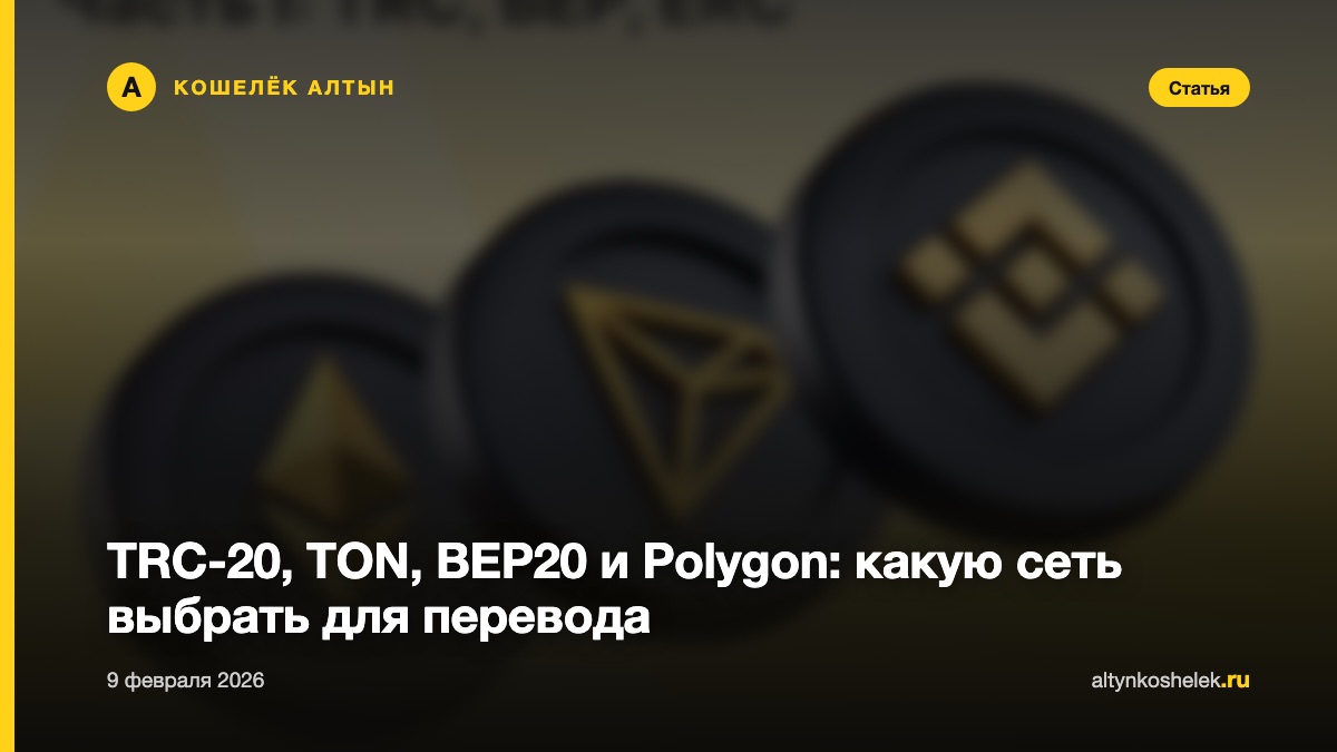 TRC-20, TON, BEP20 и Polygon: какую сеть выбрать для перевода