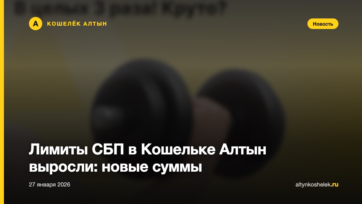 Лимиты СБП в Кошельке Алтын выросли: новые суммы